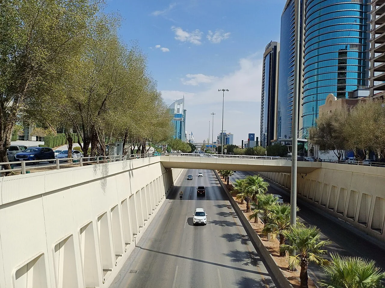 طريق الملك فهد — الرياض