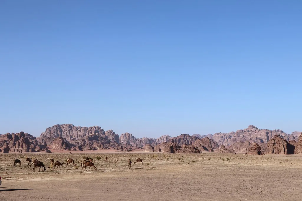 صحراء حسمى — تبوك
