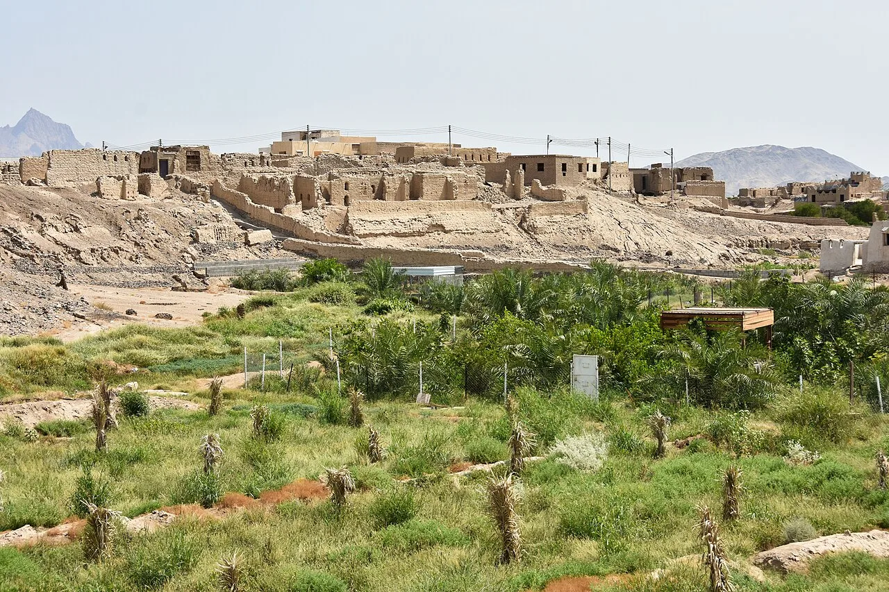 ينبع النخل — ينبع