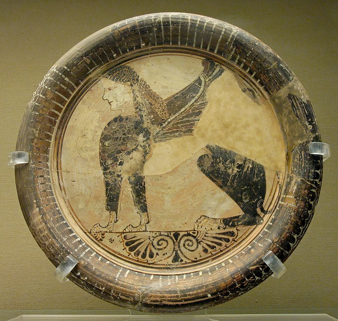 نقراطيس — رشيد
