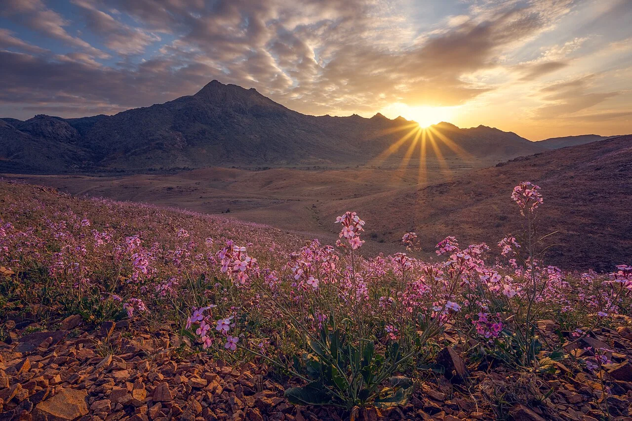جبال أجا — حائل