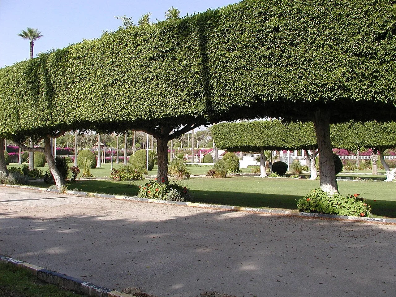 Merryland Park — Cairo